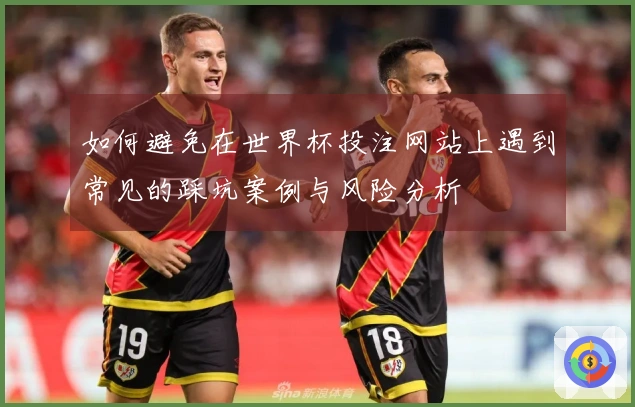 如何避免在世界杯投注网站上遇到常见的踩坑案例与风险分析