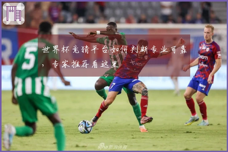 世界杯竞猜平台如何判断专业可靠，专家推荐看这里