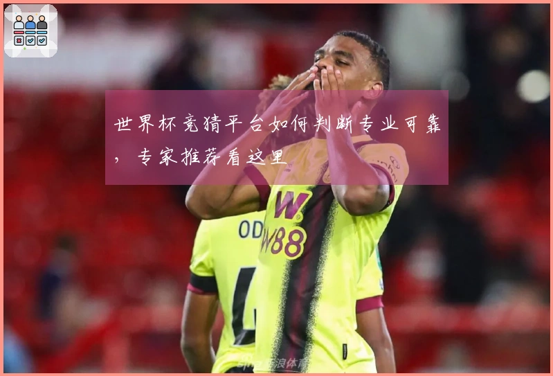 世界杯竞猜平台如何判断专业可靠，专家推荐看这里