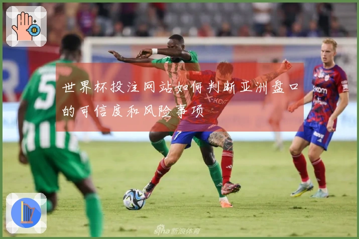 世界杯投注网站如何判断亚洲盘口的可信度和风险事项