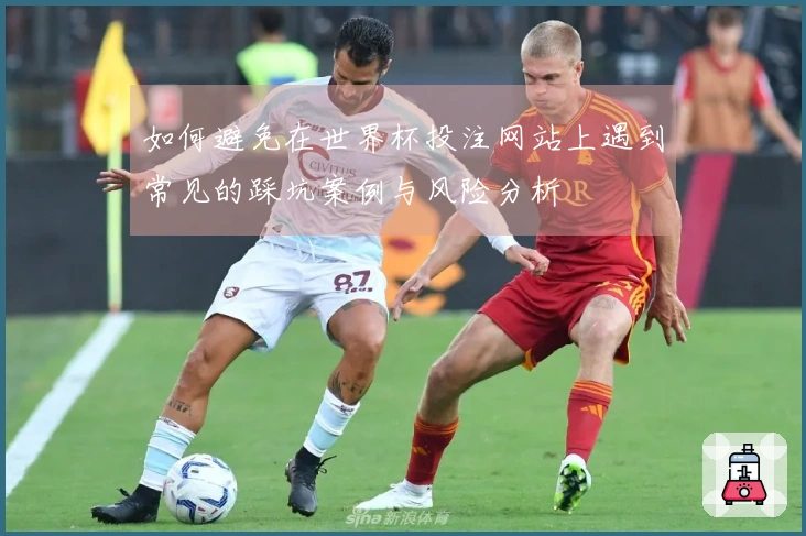 如何避免在世界杯投注网站上遇到常见的踩坑案例与风险分析