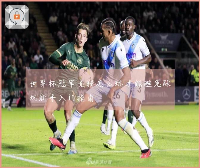 世界杯冠军竞猜怎么玩才能避免踩坑新手入门指南