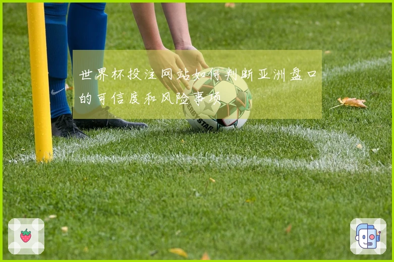 世界杯投注网站如何判断亚洲盘口的可信度和风险事项